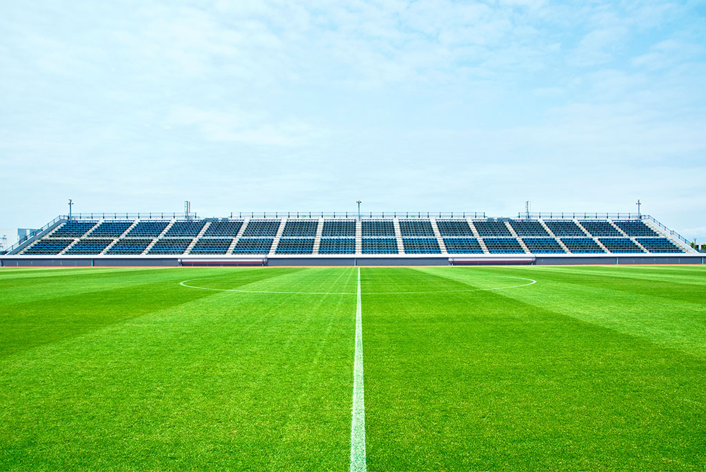 上海人造草坪 上海人造草坪