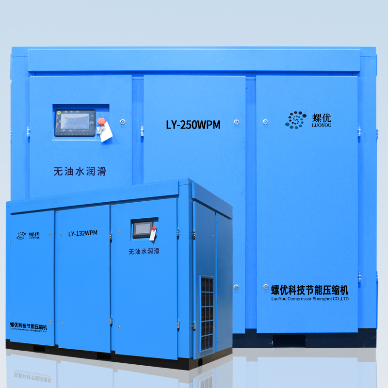 LY132-250WPM����ˮ��