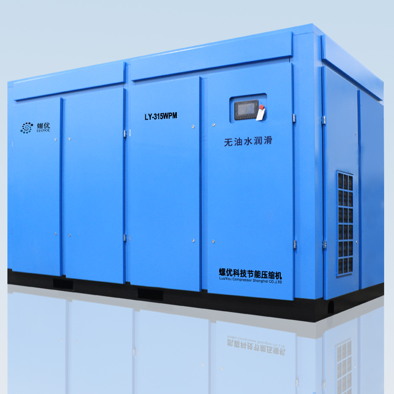 LY315-355WPM����ˮ��